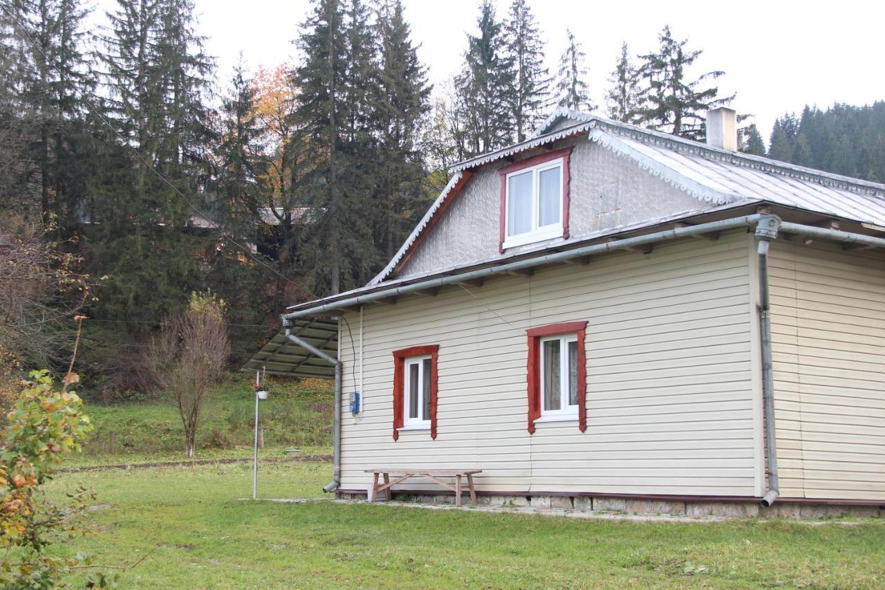 Hotel У Михайла Під Лісом Verchovyna Exteriér fotografie